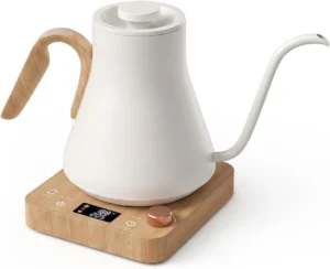Epeios Electric Kettle