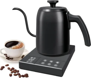Gooseneck Electric Kettle Precision Pour