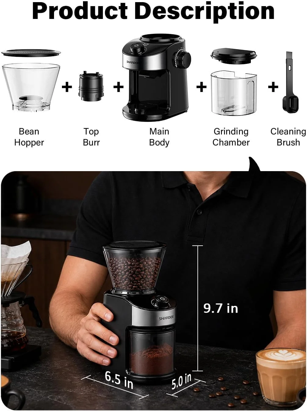 Freshly ground coffee from the SHARDOR Burr Coffee Grinder 4.0 ready for brewing